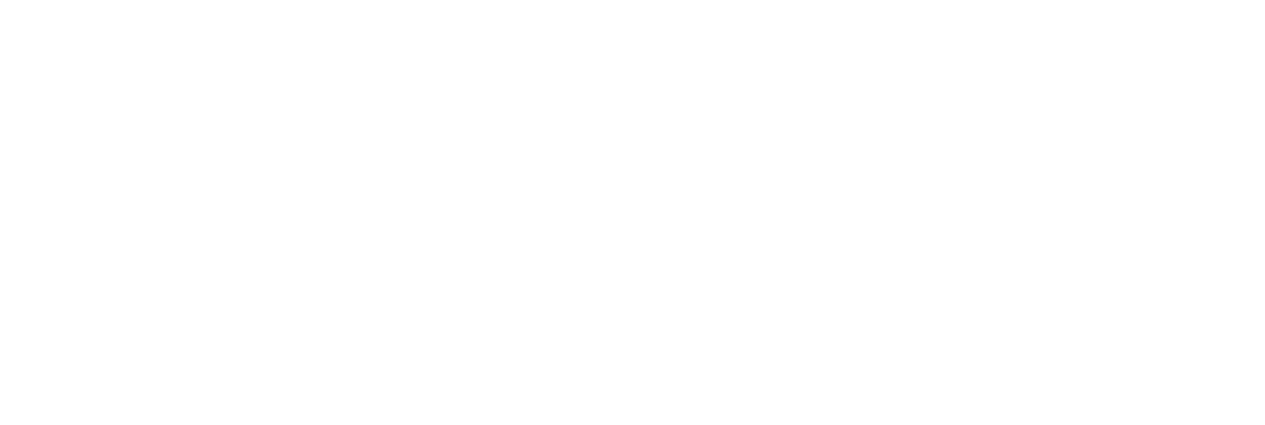 Maestria en Gobierno y Gestion Publica